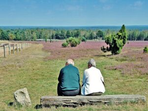 Two elderly people sitting on a wooden bench overlooking a grassy field with purple flowers near Landhaus Heide Romantisches Heidehotel Garni Nichtraucher