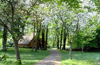 ランドハウス・ハイデ・ロマンティッシェ・ハイデホテル・ガルニ禁煙では、のどかな小道が花咲く木々の間を通り抜け、自然に囲まれた茅葺きの家へと続く。