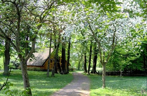 Landhaus Heide Romantisches Heidehotel Garni nesmēķētāju viesnīcā Landhaus Heide Romantisches Heidehotel Garni cauri ziedo&scaron;iem kokiem ved idillisks ceļ&scaron; uz dabas ieskautu salmu māju.