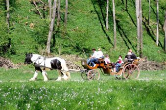 Hotel Lochm&uuml;hle GmbH - Loisir