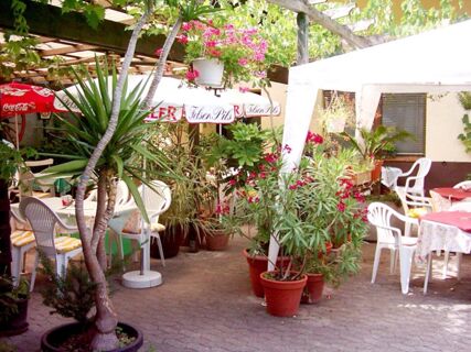 Gem&uuml;tlicher und mit Pflanzen dekorierter Au&szlig;enbereich mit Tischen und St&uuml;hlen im Hotel-Restaurant zum Wilden Mann, ideal f&uuml;r G&auml;ste zum Essen.