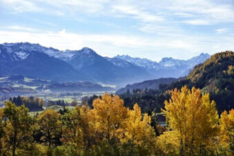 Autumn trees with yellow leaves in front of a valley and snow-covered mountains under a blue sky at Bauernhof Ferienhof K&uuml;hberg