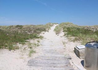 Wooden pathway through sand dunes with sparse grass under a clear blue sky at Fewos Haus am W&auml;ldchen beach area