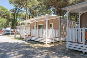 Mobile homes with white railings and small stairs next to parked cars surrounded by pine trees at Marina Romea Easy Camping Village