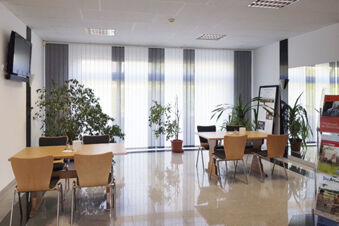 Modern dining area at Land-gut-Hotel Seeblick with wooden tables, chairs, large windows, plants, and a wall-mounted TV
