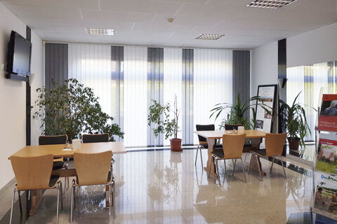 Modern dining area at Land-gut-Hotel Seeblick with wooden tables, chairs, large windows, plants, and a wall-mounted TV