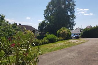 Gr&uuml;ne Au&szlig;enanlage mit B&auml;umen und B&uuml;schen bei strahlendem Himmel, Umgebung vom Hotel Pension Heigl mit Parkpl&auml;tzen zu sehen.