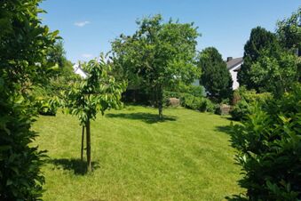 Gr&uuml;ner Garten mit B&auml;umen und Str&auml;uchern unter blauem Himmel, Teil des Au&szlig;enbereichs von Hotel Pension Heigl