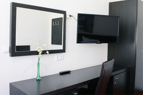 Moderna postazione di lavoro con grande specchio, vaso di fiori verdi e TV a schermo piatto in una camera dell'Aariana Hotel.