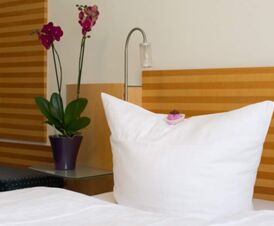 Nahaufnahme eines Bettes mit wei&szlig;em Kissen und einer Orchideenpflanze neben dem Kopfteil im Hotel Frisch, moderne und gepflegte Einrichtung.