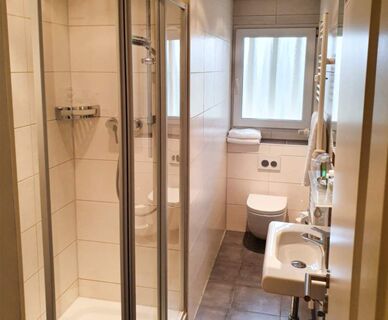 Kompaktes, modernes Badezimmer mit Dusche, Toilette und Waschbecken im Hotel Frisch, gut beleuchtet und funktional gestaltet.
