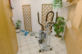 Small gym room with elliptical trainer, stepper, scale, two plants, and wood paneling at Hotel Garni Stadt Friedberg