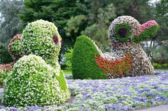 Topiary sculptures shaped like ducks made from flowering plants in a garden at Hotel G&auml;stehaus Centro Albert GmbH