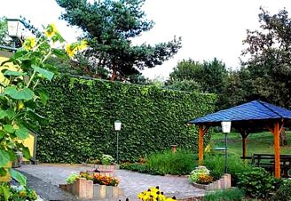 Hotel-Restaurant Eifeler Hof - Omkringliggende omr&aring;de