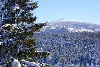 Snow-covered fir trees in a forest with a mountain and communication towers in the distance near Pension K&ouml;nigshof