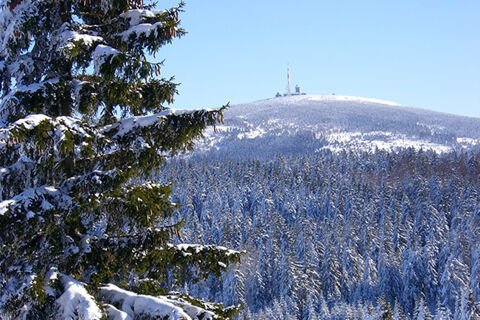 Snow-covered fir trees in a forest with a mountain and communication towers in the distance near Pension K&ouml;nigshof