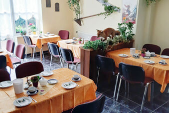 Dining room at Pension K&ouml;nigshof with orange tablecloths, set tables, chairs, plants, and a fox figure on a divider