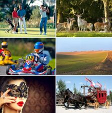 Four people playing golf, a group of deer in a forest, two go-kart racers, a countryside field, a woman with a black mask and red lipstick, and a horse-drawn carriage at Pension Graml Fr&uuml;hst&uuml;ckspension