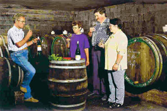 Hotel - Pension Wendland - บาร์