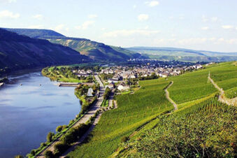 Hotel - Pension Wendland - บริเวณโดยรอบ