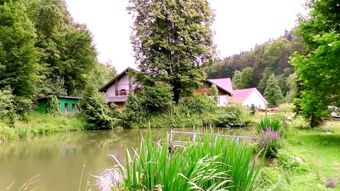 Roheline tiigimaastik koos lopsaka taimestikuga ja hooned taustal Hotell-Restoran Pension Weiherm&uuml;hle maapiirkonnas.