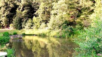 Vees peegeldub roheliste kallaste ja puudega rahulik tiik, mis on osa hotelli restoranipansion Weiherm&uuml;hle looduslikust taustast.