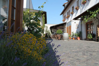 Outdoor seating area with wooden tables and chairs, flower pots, and blooming plants at Winzerhotel Weingut Kinges-Kessel