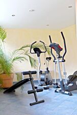 Exercise equipment including a stationary bike, elliptical trainer, and bench in a room at Landgasthof Hirsch Dapfen with plants and tiled floor