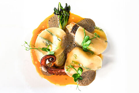 A gourmet dish with rolled pasta, grilled octopus tentacle, leafy greens, and sauce served at Lodner&acute;s Genie&szlig;erhotel & Hotel Drei Mohren