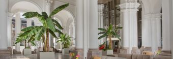 Large green banana plants in white square pots stand among white columns and arched windows in the lobby of NH Collection Milano CityLife