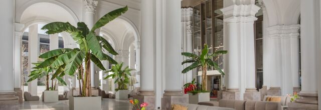 Large green banana plants in white square pots stand among white columns and arched windows in the lobby of NH Collection Milano CityLife