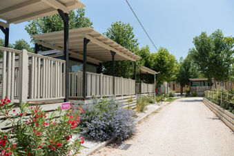 Row of beige wooden cabins with covered porches along a gravel path surrounded by green trees and colorful flowers at Romagna Family Resort