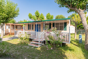 Single beige cabin with green shutters and porch surrounded by trees and plants at Riccione Easy Camping Village
