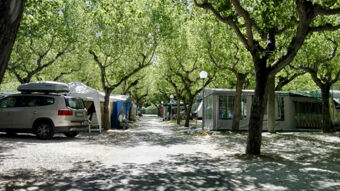 Tree-lined gravel road in Riccione Easy Camping Village with tents, camper vans, a parked SUV, and shaded walkways