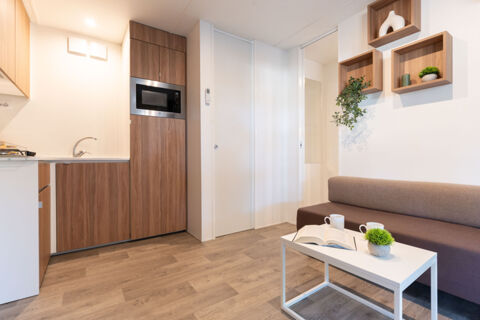 Modern kitchen and living area with wood cabinets, built-in microwave, sofa, and decorative shelves at Rivaverde Easy Camping Village