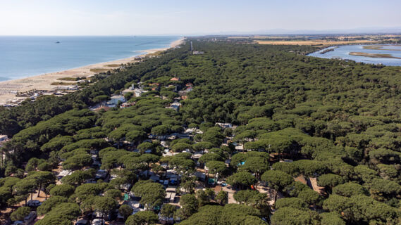 Aerial view of dense forest and beach with umbrellas along the coast near Rivaverde Easy Camping Village by the sea