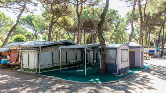 Camping tents and awnings set up among tall trees with parked cars in the background at Rivaverde Easy Camping Village