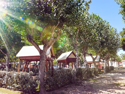 Sunlight shines through green leafy trees above wooden cabins elevated on stilts at Roseto degli Abruzzi Easy Camping Village