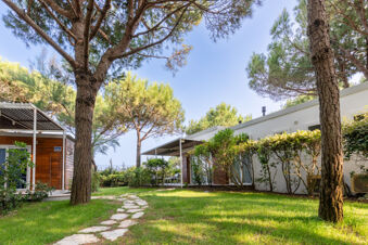 Green lawn with stone path between white and wooden cabins surrounded by trees at Jesolo Family Resort