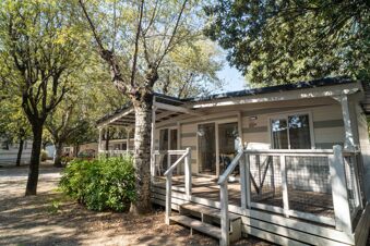 White and gray striped cabins surrounded by trees and greenery at Marina Julia Family Collection on a sunny day