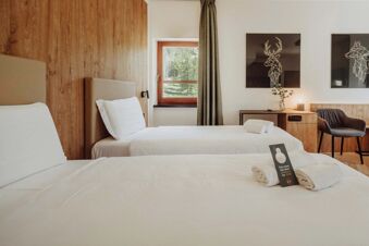 Two single beds with white linens and pillows, a wooden nightstand with a lamp, chair, window, and modern deer artwork in a B&B Hotel Passo Tre Croci Cortina room