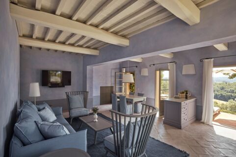 Living area with pastel blue walls, wooden ceiling beams, couch, chairs, TV, and doors opening to a terrace at Podere San Filippo