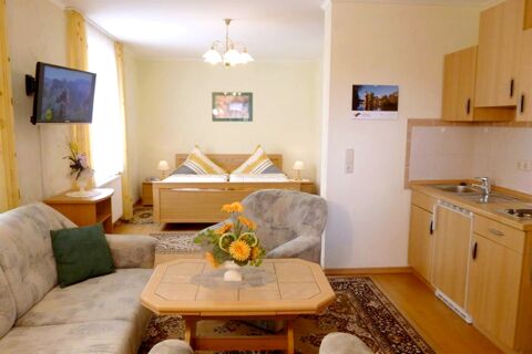 Living area with sofa, armchair, table with flowers, bed, kitchenette, and TV in the Privatpension Flemminger Hof room