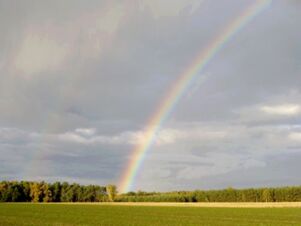 A vibrant rainbow arcs over a green field with trees on the horizon near Hotel Zu den Schildb&uuml;rgern under a cloudy sky