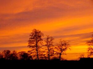Orange and yellow sunset sky with silhouetted trees in the foreground, a scene associated with Hotel Zu den Schildb&uuml;rger
