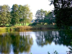 A calm pond surrounded by green trees and vegetation reflecting in the water near Hotel Zu den Schildb&uuml;rgern