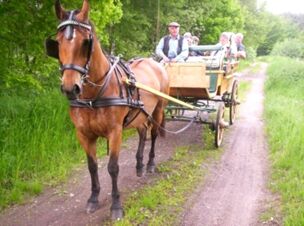 A brown horse pulling a wooden carriage with passengers on a dirt path surrounded by greenery at Hotel Zu den Schildb&uuml;rgern