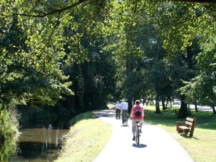 Radfahrer fahren auf einem von B&auml;umen ges&auml;umten Weg am Wasser entlang im Parkhotel Luckau-Cahnsdorf, mit B&auml;nken und viel Gr&uuml;n.