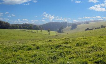 Landschaft mit gr&uuml;nen Wiesen, B&auml;umen und blauem Himmel, typisch f&uuml;r die Umgebung von Hotel Pension Haus Hahnenbecke.