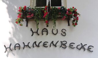 Detailansicht der Fassade mit Fenster und Blumenkasten sowie dem Schriftzug aus Hufeisen von Hotel Pension Haus Hahnenbecke.